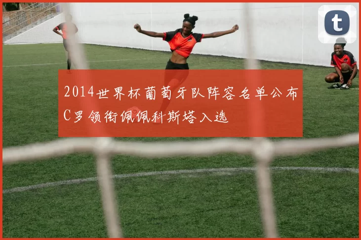 2014世界杯葡萄牙队阵容名单公布C罗领衔佩佩科斯塔入选