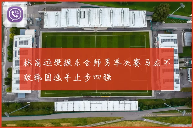 林高远樊振东会师男单决赛马龙不敌韩国选手止步四强