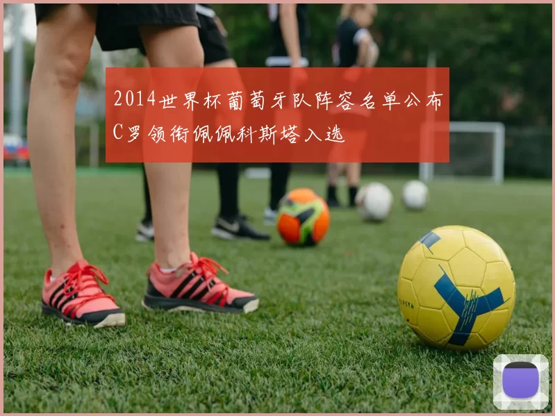 2014世界杯葡萄牙队阵容名单公布C罗领衔佩佩科斯塔入选